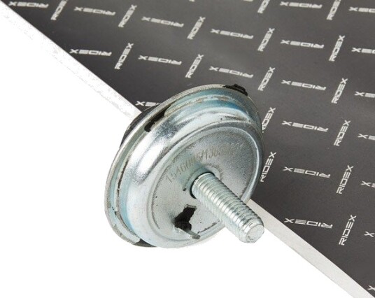 RIDEX 247E0192 Motorfeste