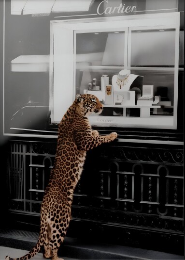 Plakat Leopard ved Cartier