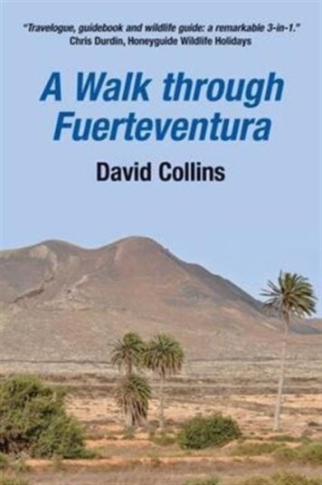 A Walk Through Fuerteventura Av David Collins