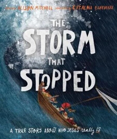 The Storm That Stopped Storybook Av Alison Mitchell