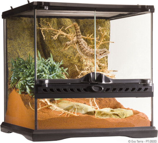 Glassterrarium Natural Mini/Wide 30 X 30 X 30 cm Glassterrarium Natural Mini/Wide 30 X 30 X 30 cm