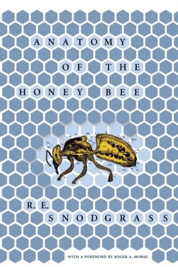 Anatomy Of The Honey Bee Av R. E. Snodgrass