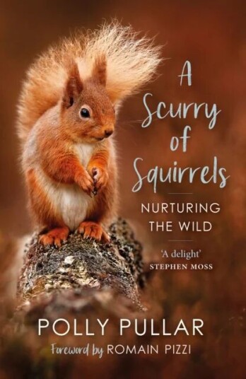 A Scurry Of Squirrels Av Polly Pullar