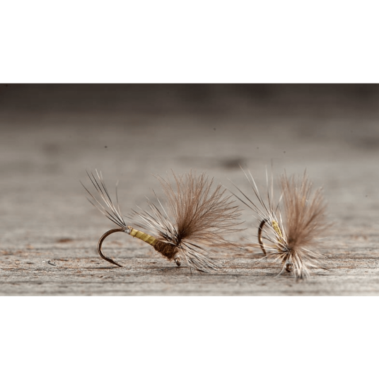 Midgar døgnfluer Parachute Dun Baetis #14 - baetis rhodani