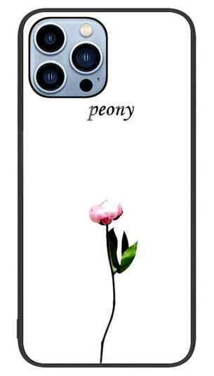INCOVER iPhone 14 Pro m. Glassbakside - Peon