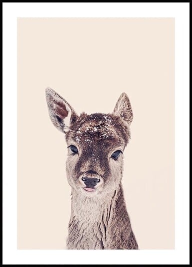 Fawn Rosé Beige Plakat Plakat / 50x70cm