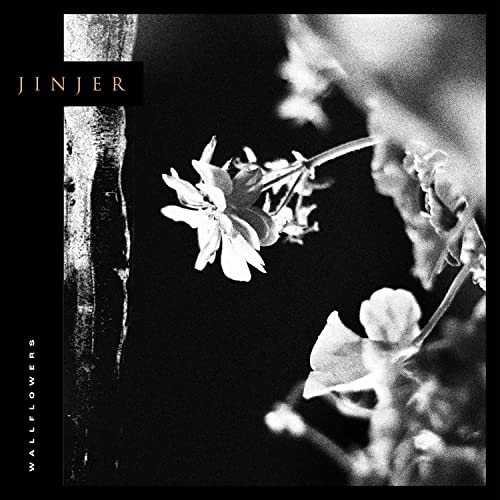 Jinjer Wallflowers LP/Vinyl Jinjer Wallflowers LP/Vinyl