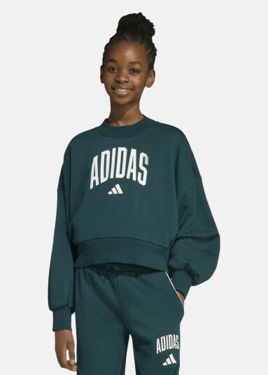 Adidas Jg Clgt Ft Swt Aurivy/White 152 Sweatshirts