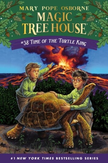 Time Of The Turtle King Av Mary Pope Osborne, Ag Ford