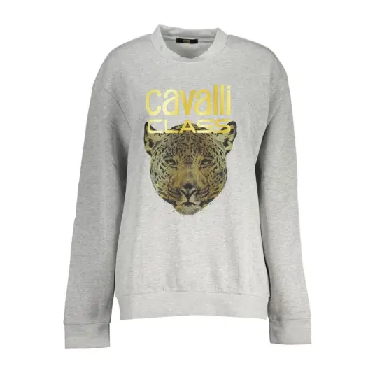 Cavalli Class Dame Gensere & Hettegensere Grå XL,