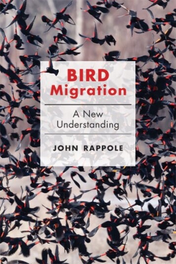 Bird Migration Av John H. (Research Scientist Emeritus National Zoological Park Smithsonian Institution) Rappole