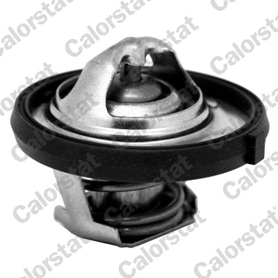 Termostat kjølemiddel CALORSTAT by Vernet TH7311.95J