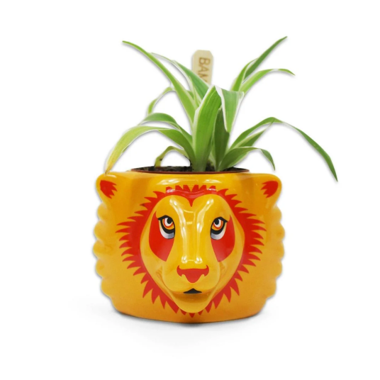 Harry Potter Vase Gryffindor Harry Potter Vase Gryffindor