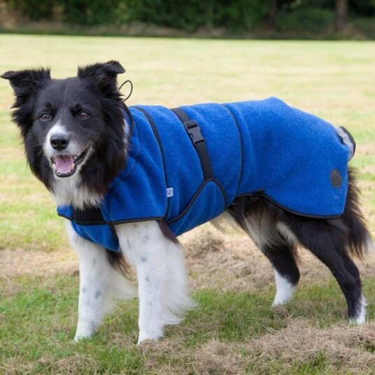 Canelana Ull Hundedekken - Blå - XS Terrier