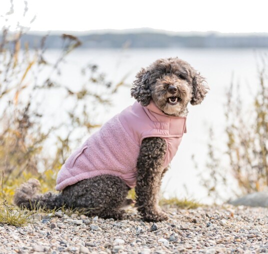 Trixie Ajou Vinterdekken til Hund Rosa 217298