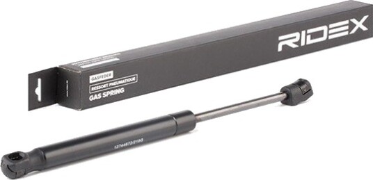 RIDEX 219G0737 Baklukedemper