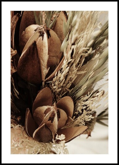 Close Up of Dried Flowers Bouquet  Plakat Plakat / 100x150cm