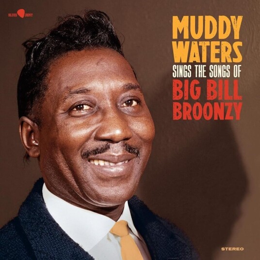 Sings The Songs Of Big Bill Bronzy Usa Vinyl