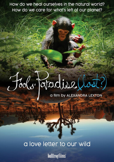 Fools' Paradise (lost) DVD