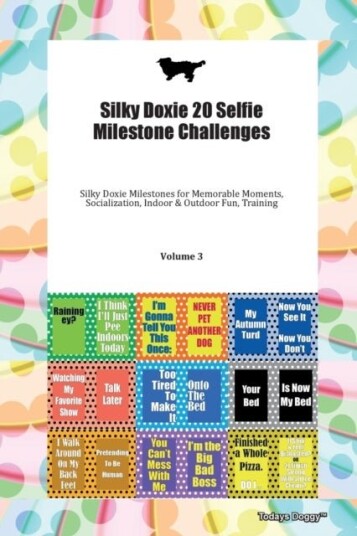 Silky Doxie 20 Selfie Milestone Challenges Silky Doxie Milestones for Memorable Moments, Socializati