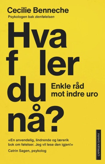 Hva føler du nå? av Cecilie Benneche