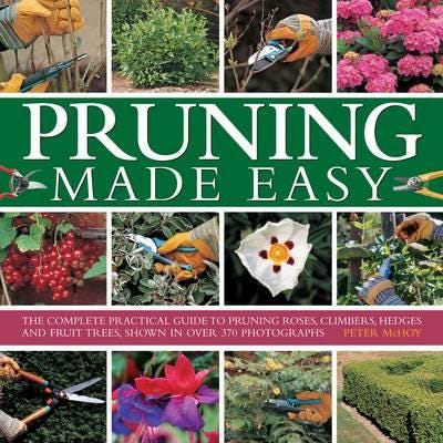 Pruning Made Easy Av Mchoy Peter