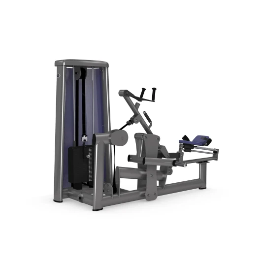 gym80 Sygnum Rower gym80 Sygnum Rower