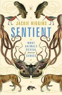 Sentient Av Jackie Higgins