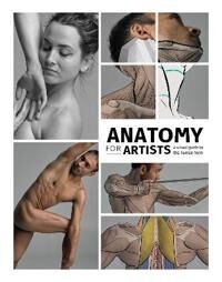 Anatomy For Artists Anatomy For Artists