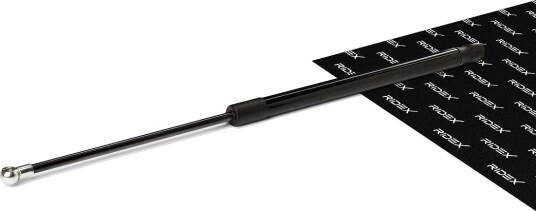 RIDEX 219G1228 Baklukedemper