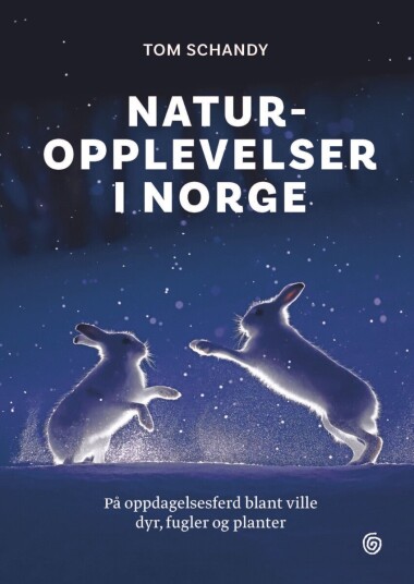 Naturopplevelser i Norge