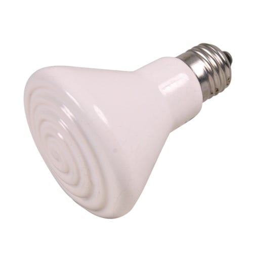 Infrarød keramikkpære, 50, 75 og 100w - 100 Watt