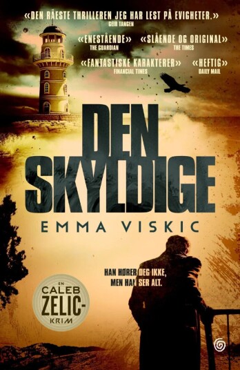 Den Skyldige Av Emma Viskic