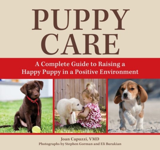 Puppy Care A Complete Guide to Raising a Happy Puppy in a Positive Environment