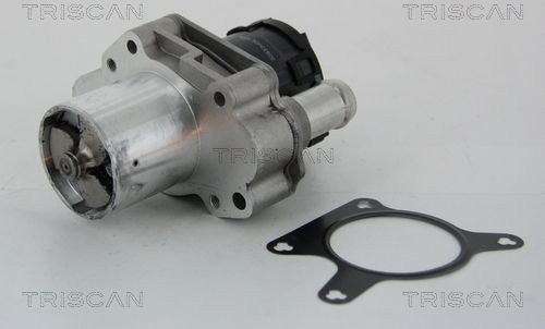 EGR-ventil TRISCAN 8813 23031