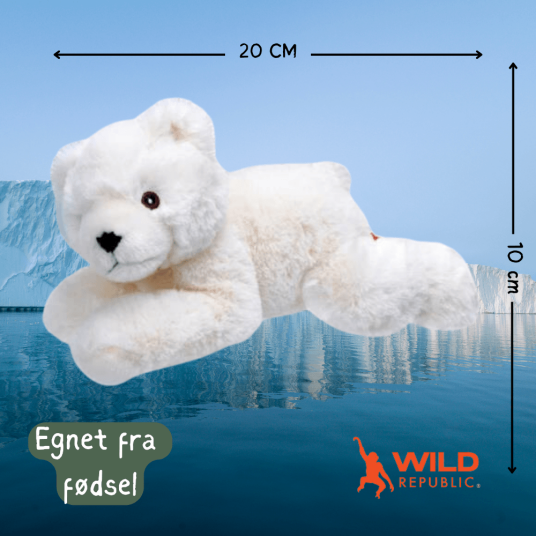 Ecokins Mini Polar Bear Plush | Wild Republic Ecokins Mini Polar Bear Plush | Wild Republic