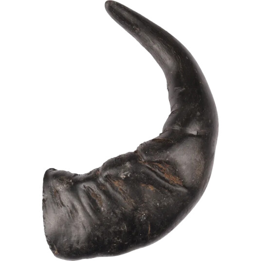 Flamingo Hundefôr Buffalo Horn Large 1-pakning Naturlige Snacks