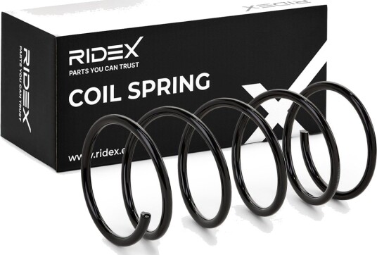 RIDEX 188C0546 Fjær