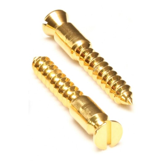 Floyd Rose Bridge Mounting Wood Screws (2 Pcs), Gold