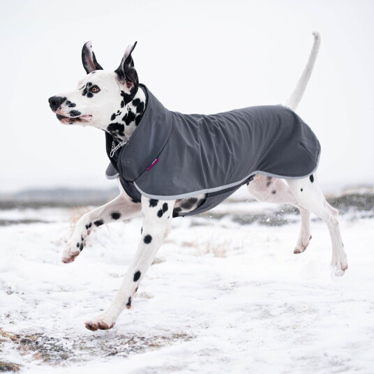 Pomppa Sport Hundedekken Graphite