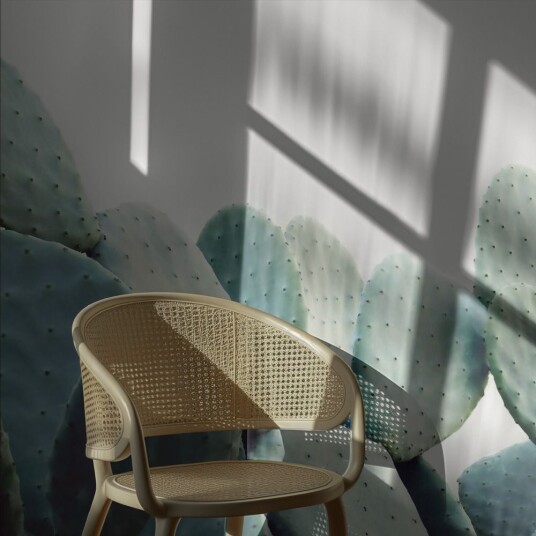 Tapet Ørkenkaktusdesign Tapet Ørkenkaktusdesign