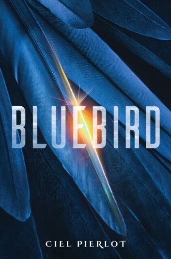 Bluebird Av Ciel Pierlot