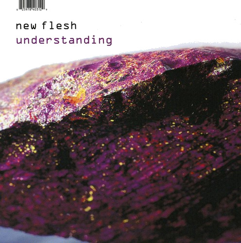 New Flesh Understanding CD