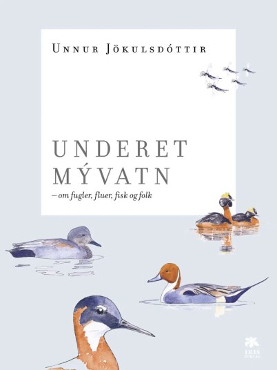 Underet M.Vatn Av Unnur Jökulsdóttir