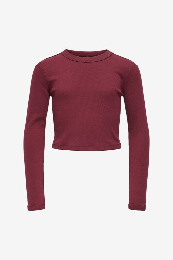 Kids Only Topp kogBina Life L/s O neck Rød