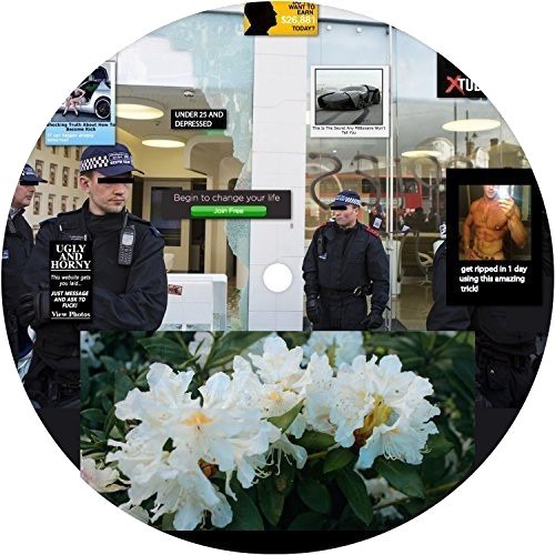 Earthly Versions Vinyl