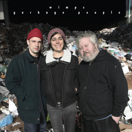 Wimps Garbage People Kassett