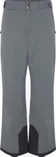 Columbia Sportswear Bugaboo Vi Pant SEDONA SAGE SHARK S