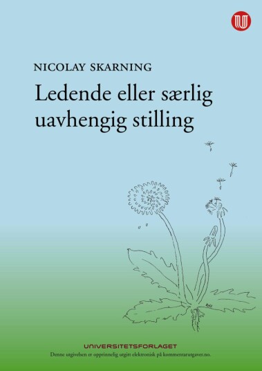 Ledende eller særlig uavhengig stilling