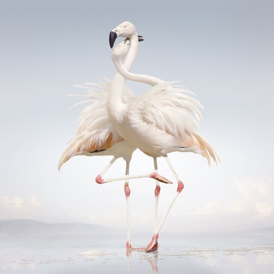 Rustie Green Language LP/Vinyl